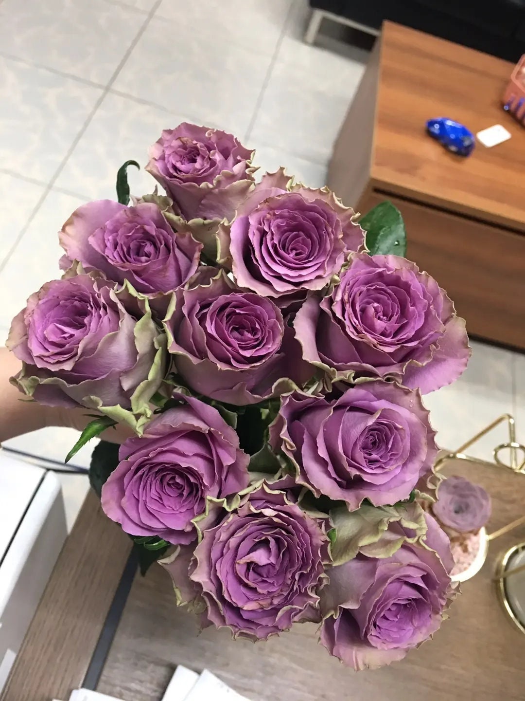 Rose 'Route 42' (42号公路) (1Gal+ Live Plant) Shrub Rose