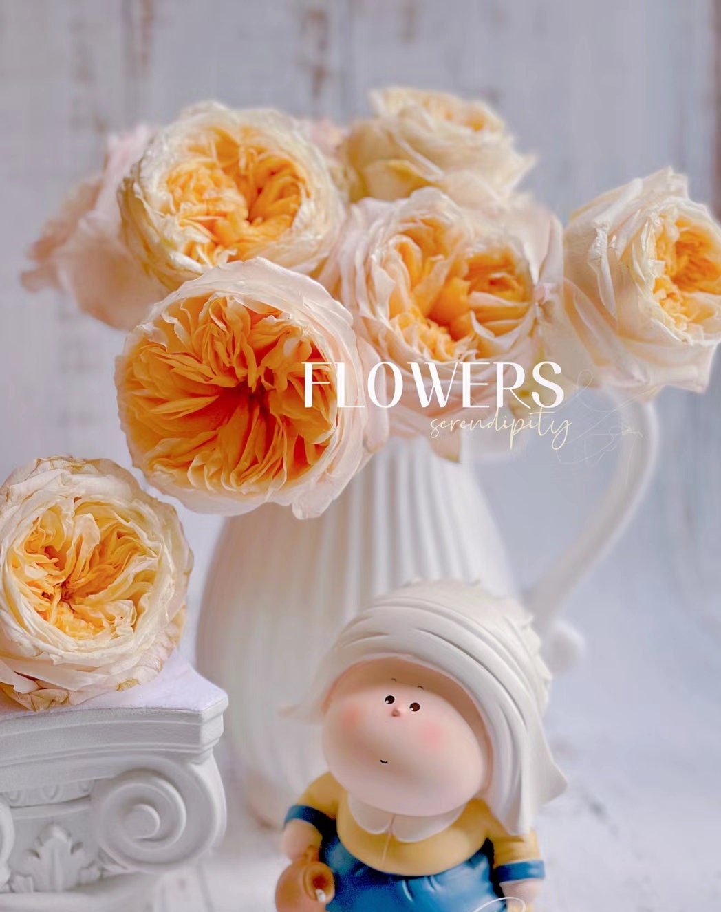 Rose 'Victorian Peach' (维多利亚蜜桃) (1 Gal Live Plant) Shrub Rose