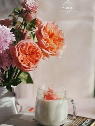 Rose 'London Eye' (伦敦眼) (1Gal+ Live Plant) Shrub Rose