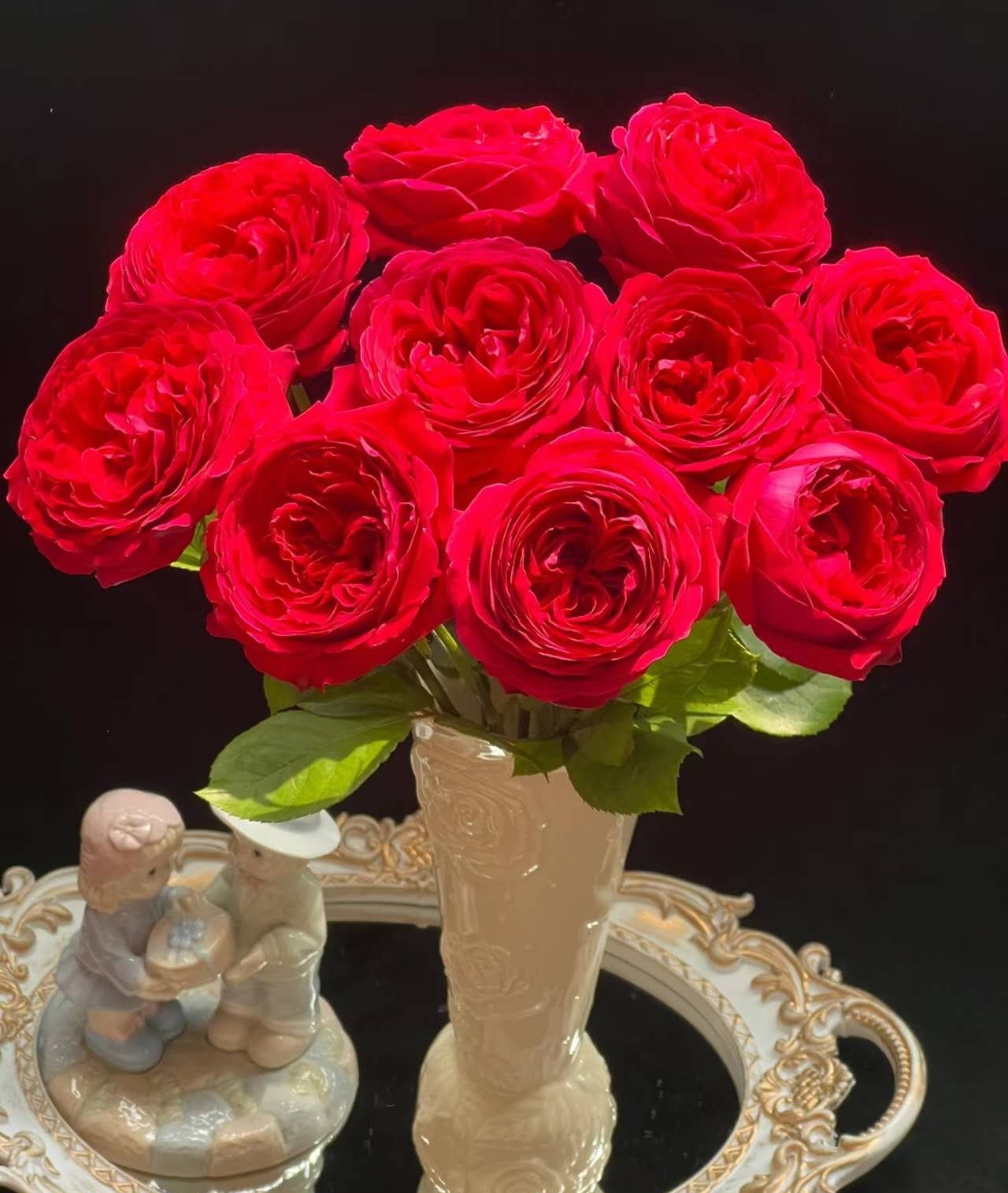 Rose 'Fragrance Red' (红色芬香) fragrance, disease resistance, cut flowers (1Gal+ Live Plant) Shrub Rose .